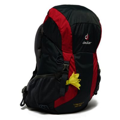 Vapour 22SL Backpack Vapour 22SL Backpack